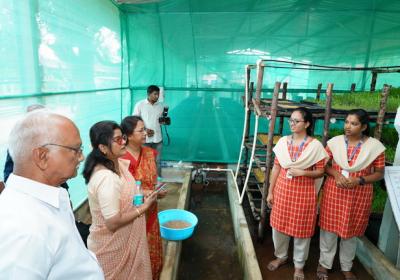 Hydroponics Fodder 5.jpg